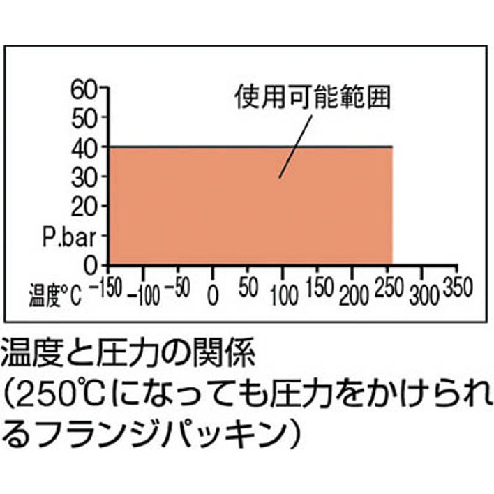 フランジパッキン(外パッキン・ノンアスベスト) (厚さ:3mm/外径:210mm