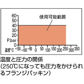 フランジパッキン(内パッキン・ノンアスベスト)